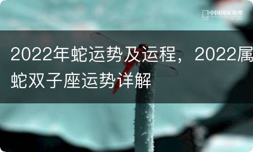 2022年蛇运势及运程，2022属蛇双子座运势详解