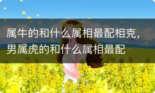 属牛的和什么属相最配相克，男属虎的和什么属相最配