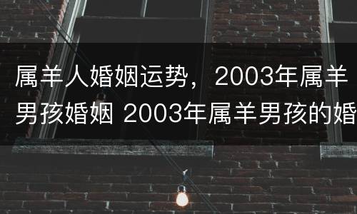 属羊人婚姻运势，2003年属羊男孩婚姻 2003年属羊男孩的婚姻