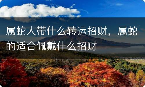 属蛇人带什么转运招财，属蛇的适合佩戴什么招财