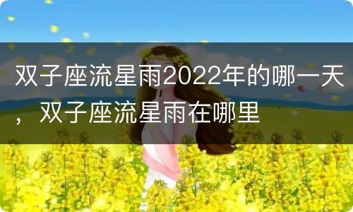 双子座流星雨2022年的哪一天，双子座流星雨在哪里