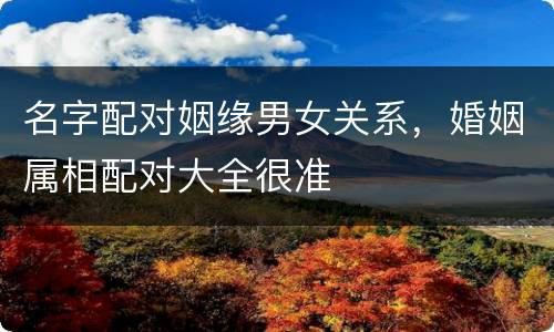 名字配对姻缘男女关系，婚姻属相配对大全很准