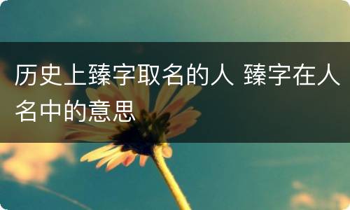 历史上臻字取名的人 臻字在人名中的意思