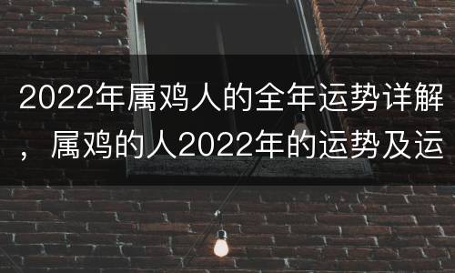 2022年属鸡人的全年运势详解，属鸡的人2022年的运势及运程