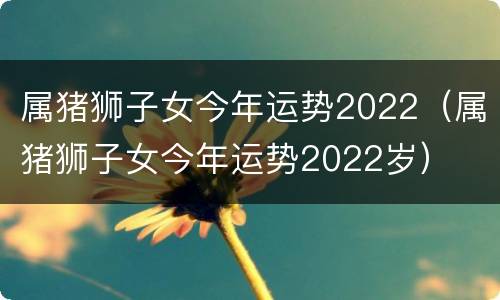 属猪狮子女今年运势2022（属猪狮子女今年运势2022岁）