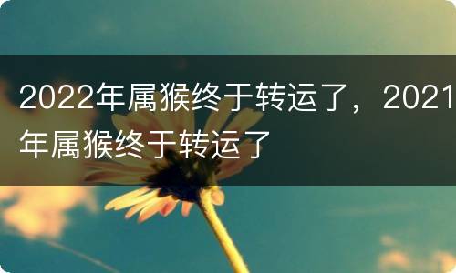 2022年属猴终于转运了，2021年属猴终于转运了