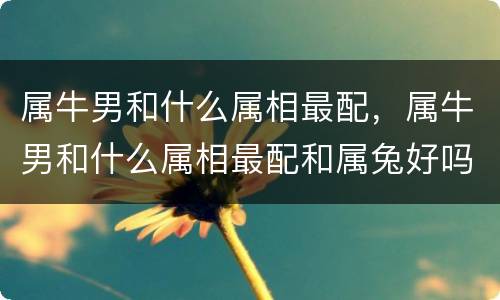 属牛男和什么属相最配，属牛男和什么属相最配和属兔好吗