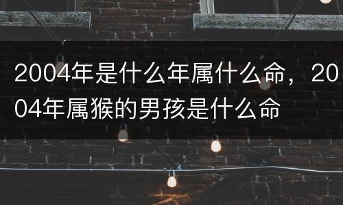 2004年是什么年属什么命，2004年属猴的男孩是什么命