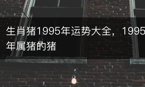 生肖猪1995年运势大全，1995年属猪的猪