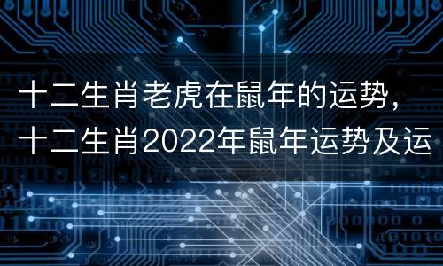 十二生肖老虎在鼠年的运势，十二生肖2022年鼠年运势及运程