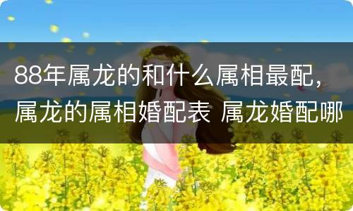 88年属龙的和什么属相最配，属龙的属相婚配表 属龙婚配哪个属