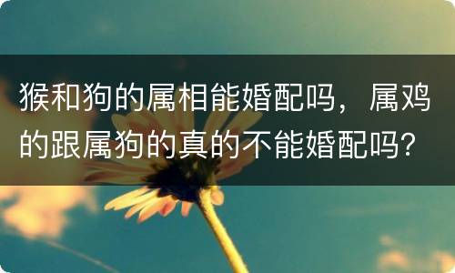 猴和狗的属相能婚配吗，属鸡的跟属狗的真的不能婚配吗？