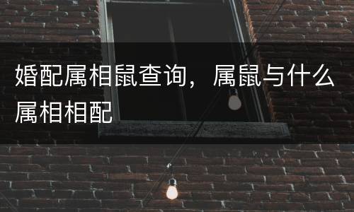 婚配属相鼠查询，属鼠与什么属相相配