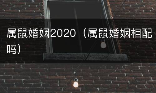 属鼠婚姻2020（属鼠婚姻相配吗）