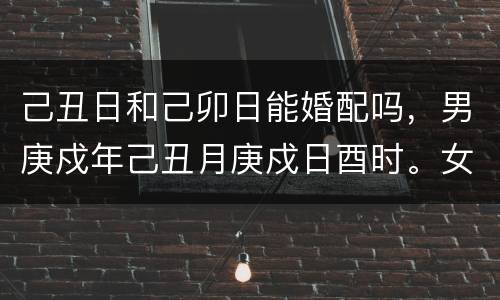 己丑日和己卯日能婚配吗，男庚戍年己丑月庚戍日酉时。女丁巳年辛亥月己卯日