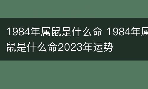 1984年属鼠是什么命 1984年属鼠是什么命2023年运势