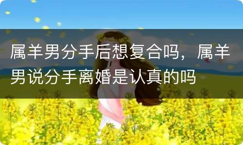 属羊男分手后想复合吗，属羊男说分手离婚是认真的吗