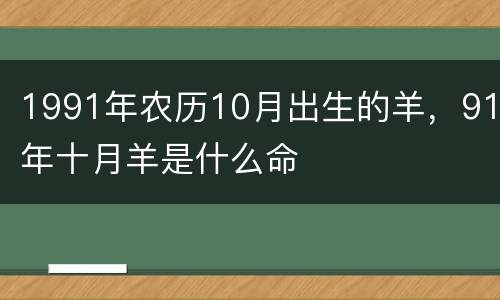 1991年农历10月出生的羊，91年十月羊是什么命