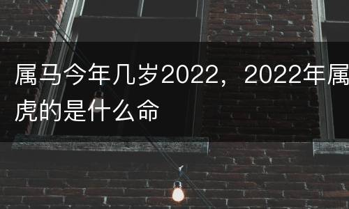 属马今年几岁2022，2022年属虎的是什么命