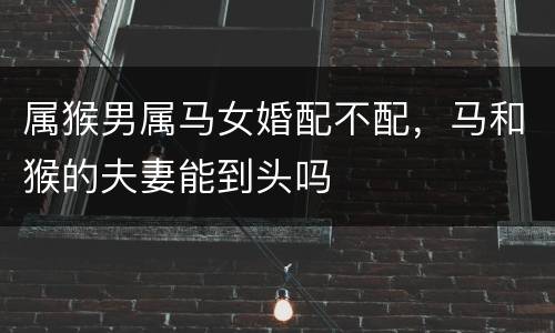 属猴男属马女婚配不配，马和猴的夫妻能到头吗