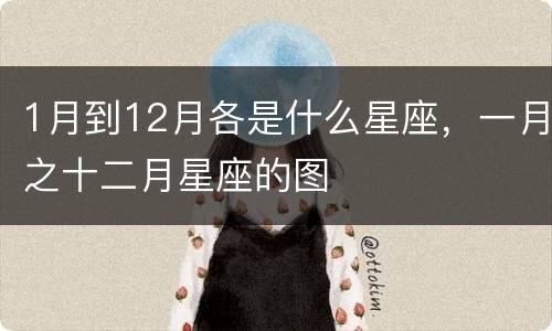 1月到12月各是什么星座，一月之十二月星座的图