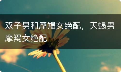 双子男和摩羯女绝配，天蝎男摩羯女绝配