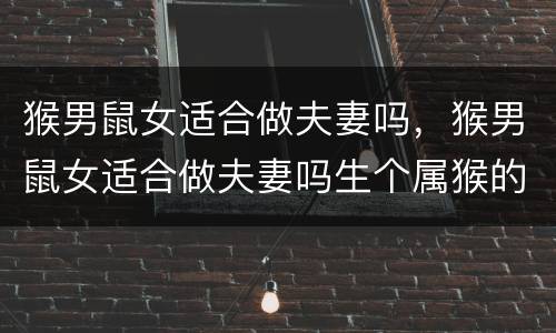 猴男鼠女适合做夫妻吗，猴男鼠女适合做夫妻吗生个属猴的儿子好不好