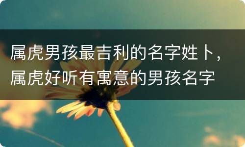 属虎男孩最吉利的名字姓卜，属虎好听有寓意的男孩名字