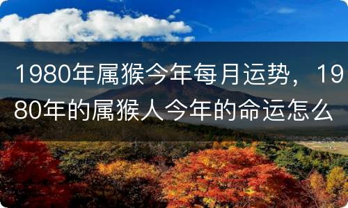 1980年属猴今年每月运势，1980年的属猴人今年的命运怎么样