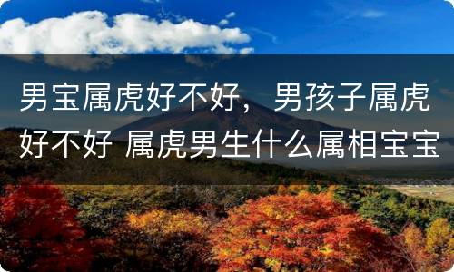 男宝属虎好不好，男孩子属虎好不好 属虎男生什么属相宝宝好