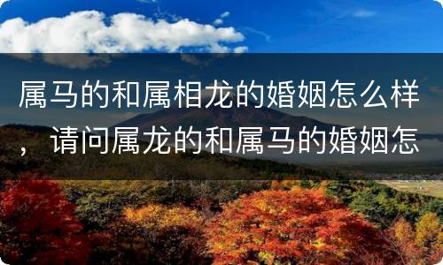 属马的和属相龙的婚姻怎么样，请问属龙的和属马的婚姻怎么样