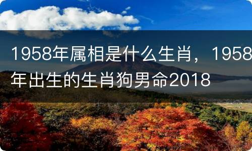 1958年属相是什么生肖，1958年出生的生肖狗男命2018