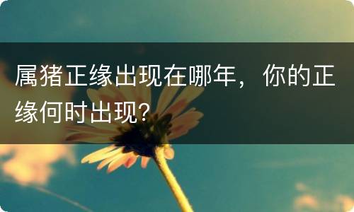 属猪正缘出现在哪年，你的正缘何时出现？