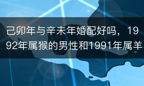 己卯年与辛未年婚配好吗，1992年属猴的男性和1991年属羊的女性婚配