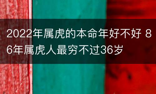 2022年属虎的本命年好不好 86年属虎人最穷不过36岁