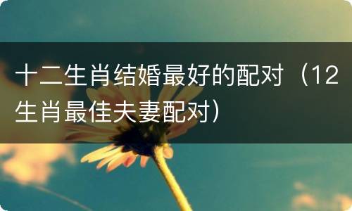 十二生肖结婚最好的配对（12生肖最佳夫妻配对）