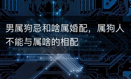 男属狗忌和啥属婚配，属狗人不能与属啥的相配