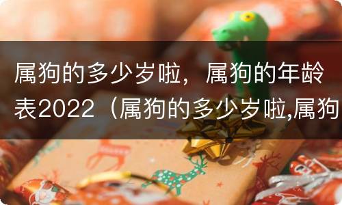属狗的多少岁啦，属狗的年龄表2022（属狗的多少岁啦,属狗的年龄表2022是多少）