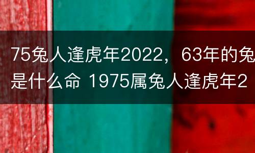 75兔人逢虎年2022，63年的兔是什么命 1975属兔人逢虎年2022