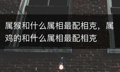 属猴和什么属相最配相克，属鸡的和什么属相最配相克