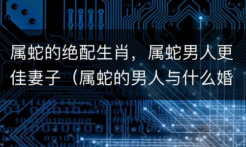 属蛇的绝配生肖，属蛇男人更佳妻子（属蛇的男人与什么婚配最好）