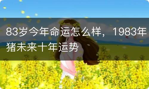 83岁今年命运怎么样，1983年猪未来十年运势