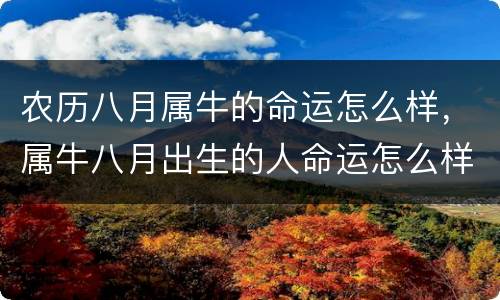 农历八月属牛的命运怎么样，属牛八月出生的人命运怎么样