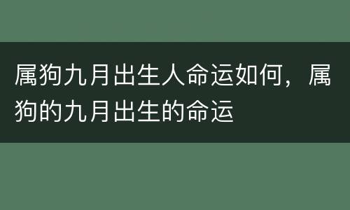 属狗九月出生人命运如何，属狗的九月出生的命运