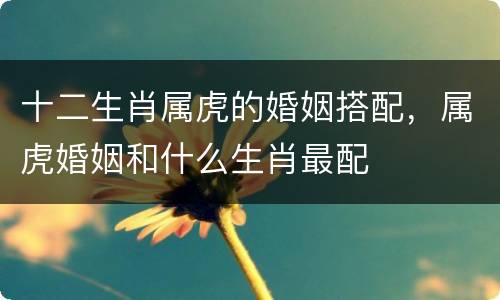 十二生肖属虎的婚姻搭配，属虎婚姻和什么生肖最配
