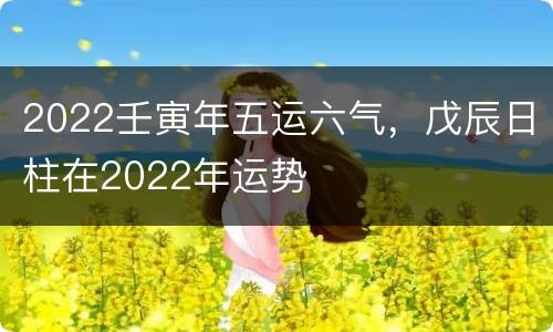 2022壬寅年五运六气，戊辰日柱在2022年运势