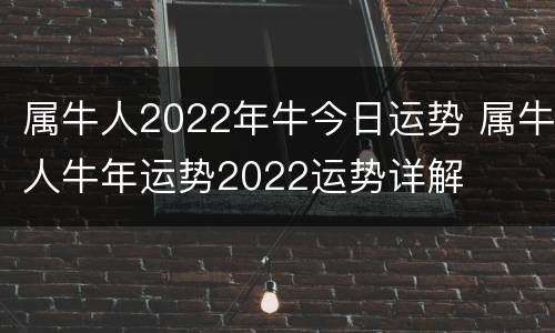 属牛人2022年牛今日运势 属牛人牛年运势2022运势详解