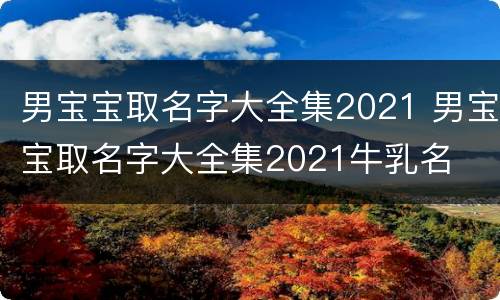 男宝宝取名字大全集2021 男宝宝取名字大全集2021牛乳名