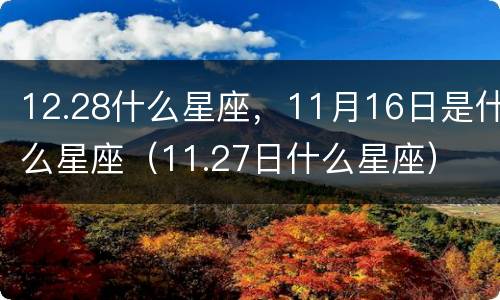12.28什么星座，11月16日是什么星座（11.27日什么星座）