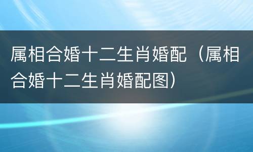 属相合婚十二生肖婚配（属相合婚十二生肖婚配图）
